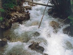 04-Günster vizesés