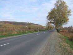 11 Sárospatak Füzér