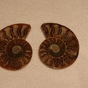 05 Az idők kezdetétől