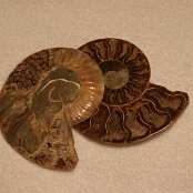 06 Egy egész két fele