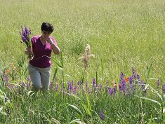 0524 Hajdúszoboszló