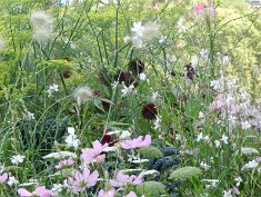 12_Parc_Des_Buttes_Chaumont