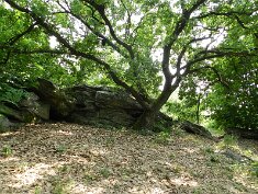 0727 Szentbékkálla