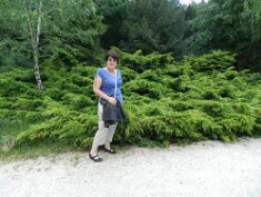 0602-Jeli arborétum