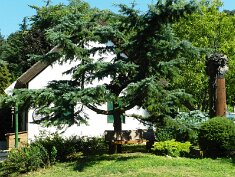 4-Folly arborétum, Badacsomtomaj