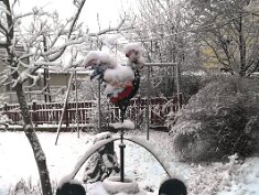 0114-Tél Sülysápon