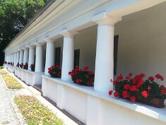 0725-Vácrátóti arborétum