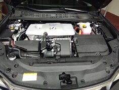 0129-Alex érkezése