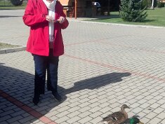 0329-Vesta Hotel & Sülysápi tavak