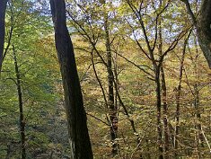 1017-Királyrét-Kemence